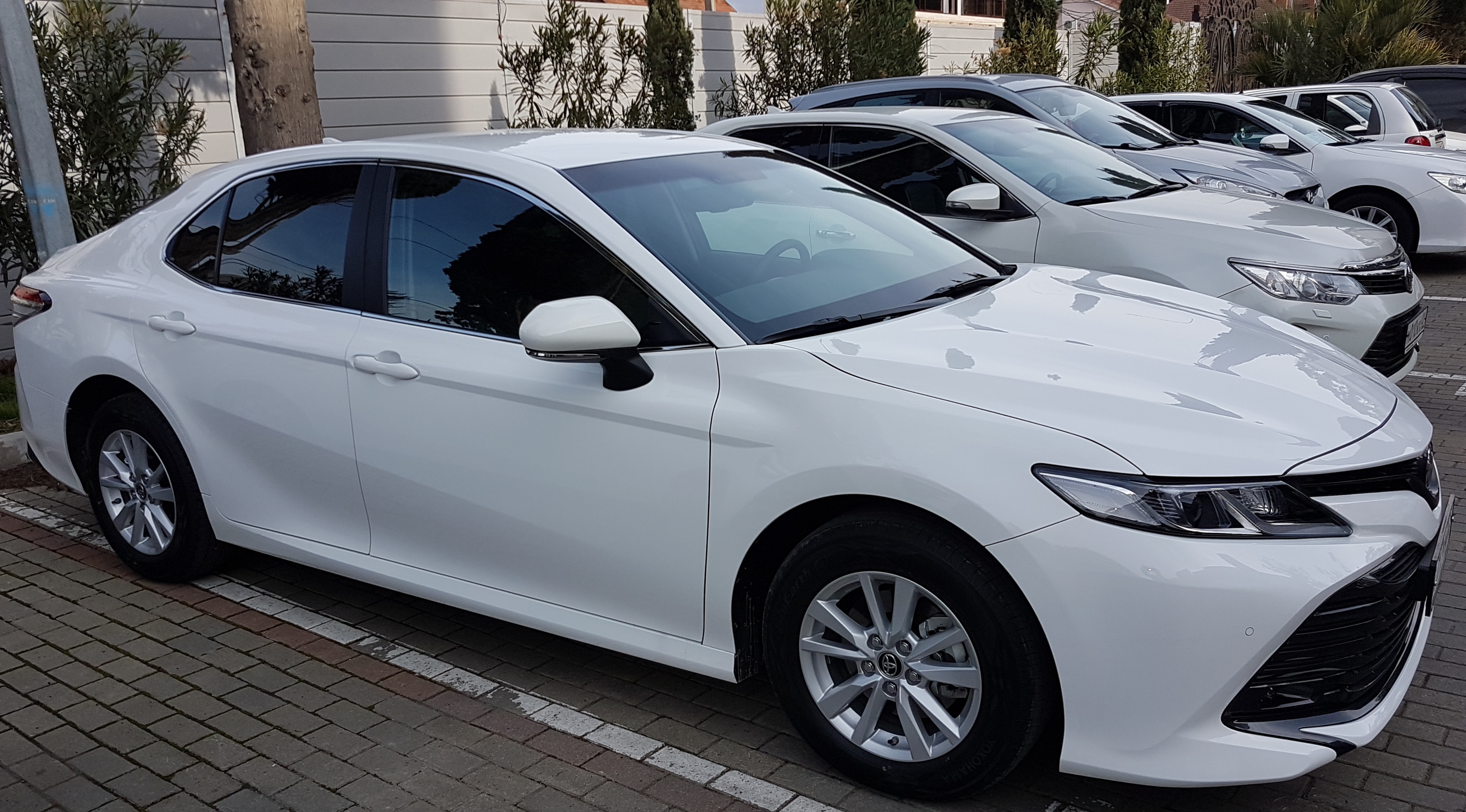 IMG_F05078-E342CE-80F8E1-4654C0-50BE31-4C4F8A